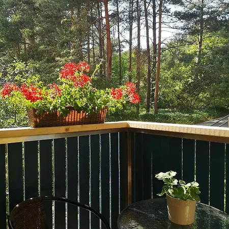 Misko Studija Apartment Nida Exterior photo
