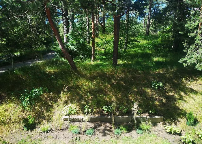 Misko Studija