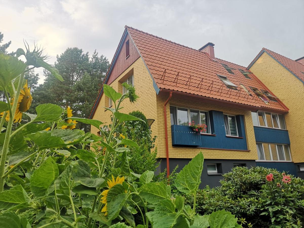 Misko Studija Huoneisto Nida
