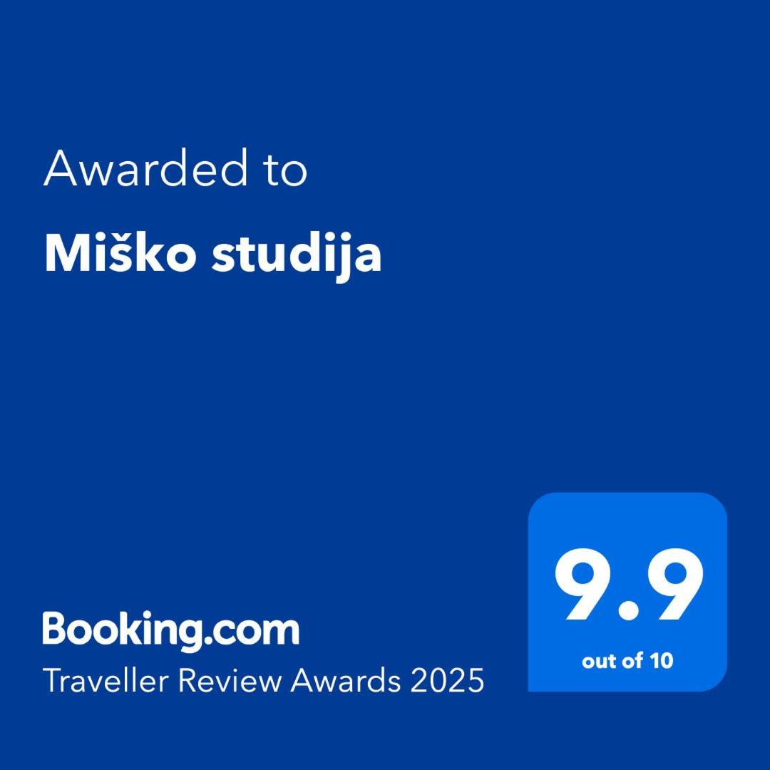 Huoneisto Misko Studija